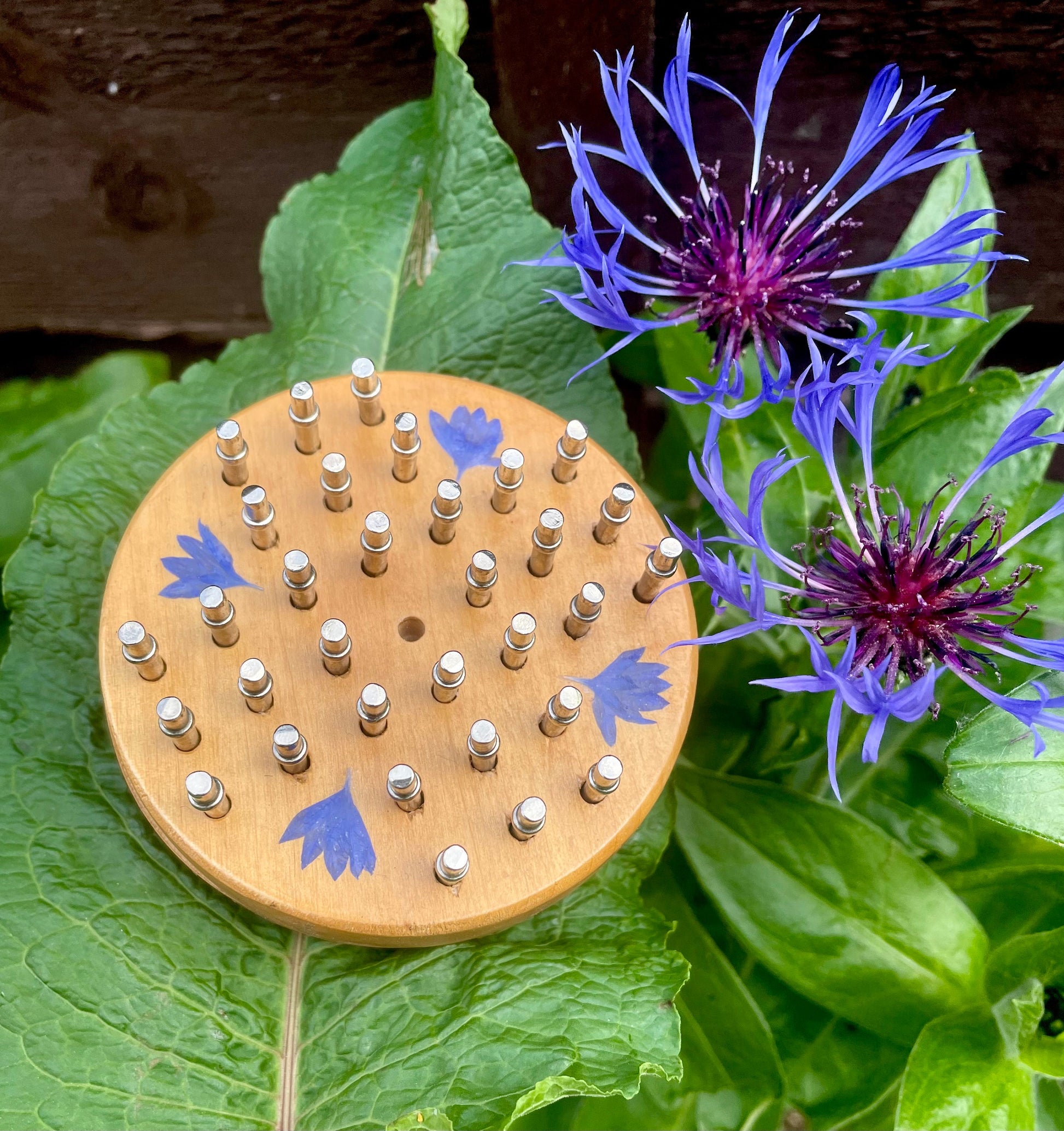 Mini palm sized Botanical Solitaire board with pressed cornflower petals - B grade shabby chic cottagecore goblincore unique nature