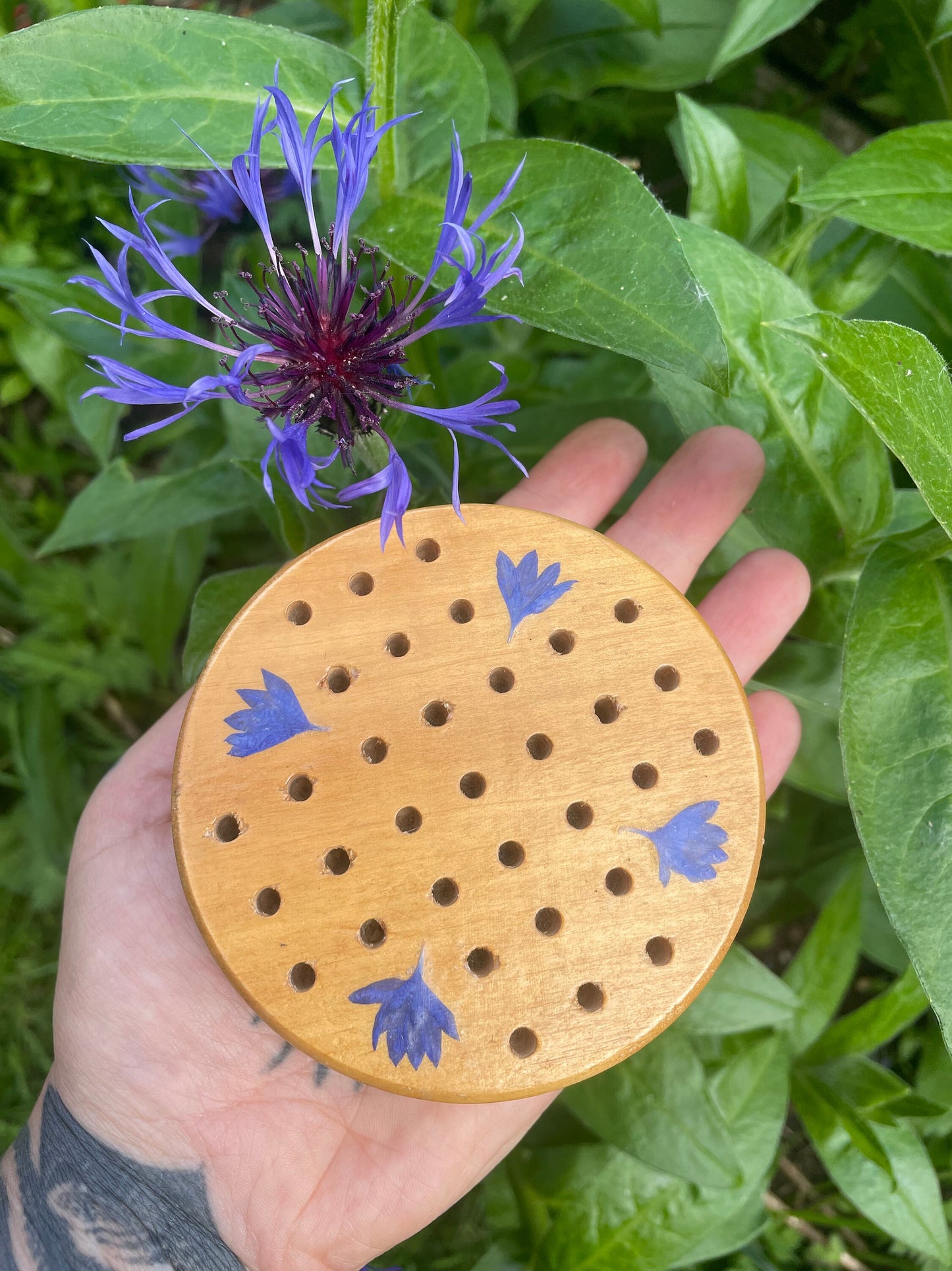 Mini palm sized Botanical Solitaire board with pressed cornflower petals - B grade shabby chic cottagecore goblincore unique nature