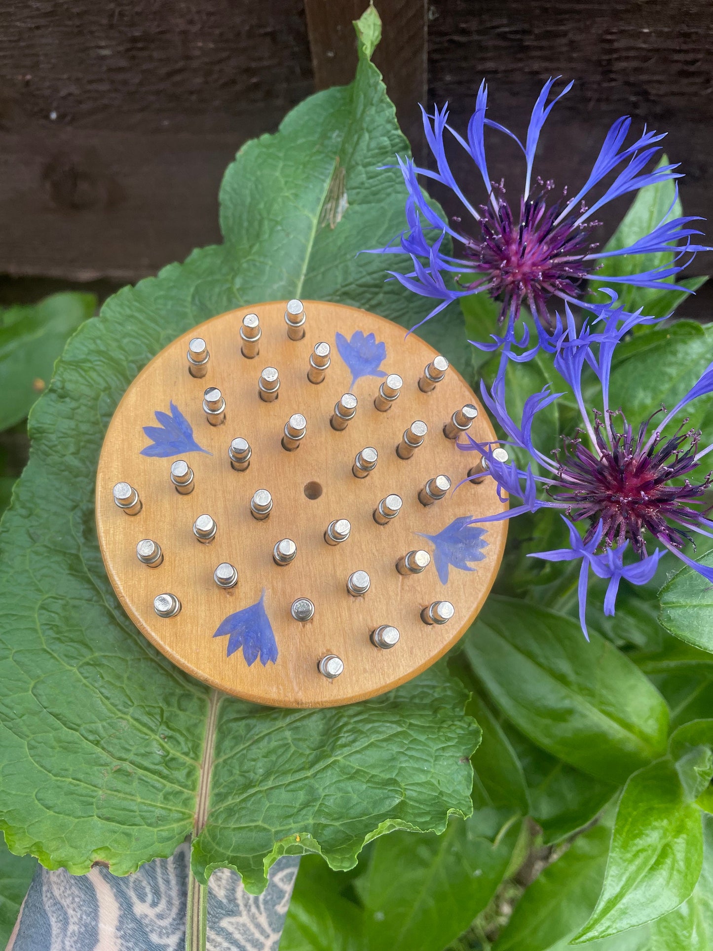 Mini palm sized Botanical Solitaire board with pressed cornflower petals - B grade shabby chic cottagecore goblincore unique nature