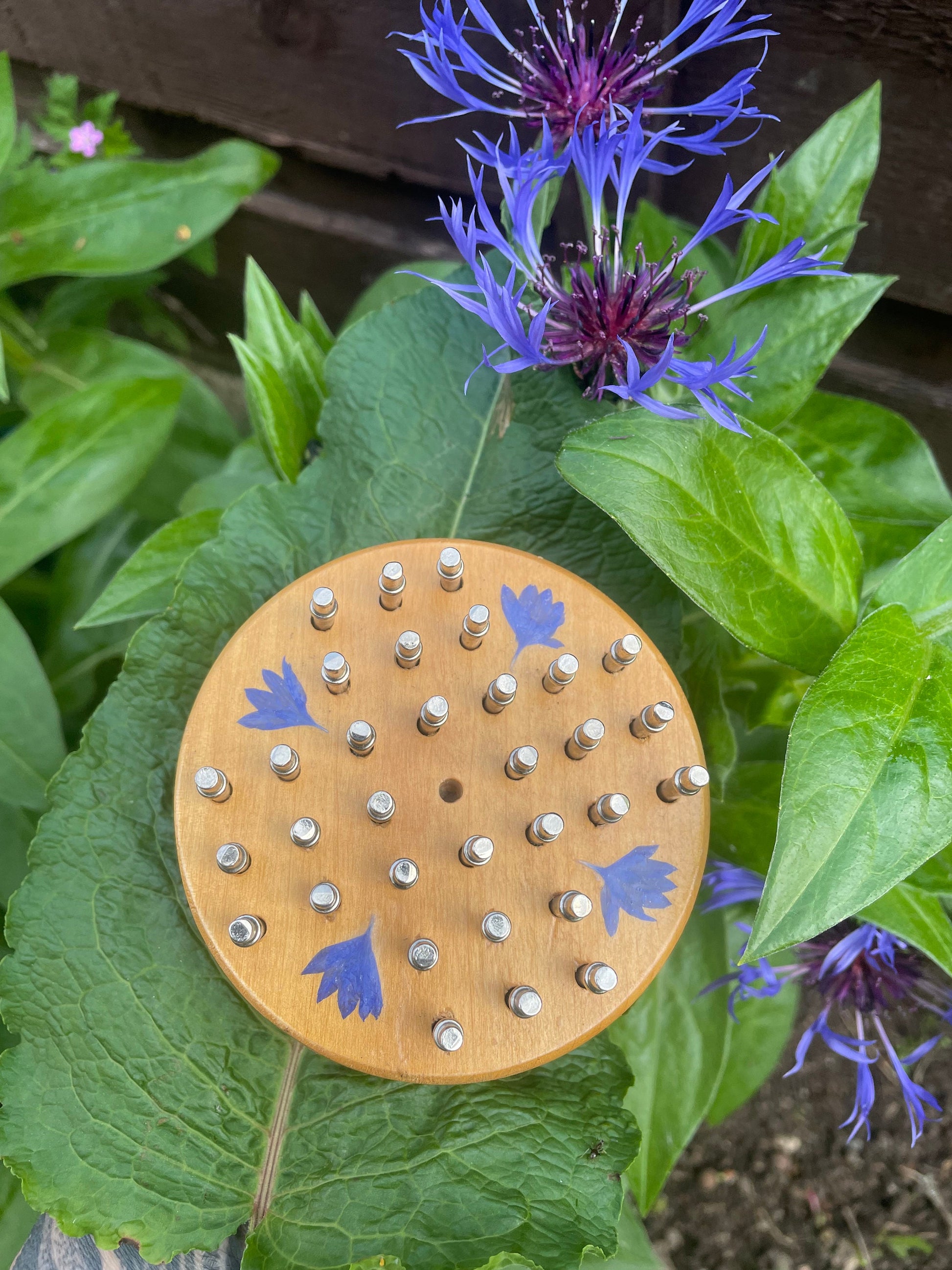 Mini palm sized Botanical Solitaire board with pressed cornflower petals - B grade shabby chic cottagecore goblincore unique nature