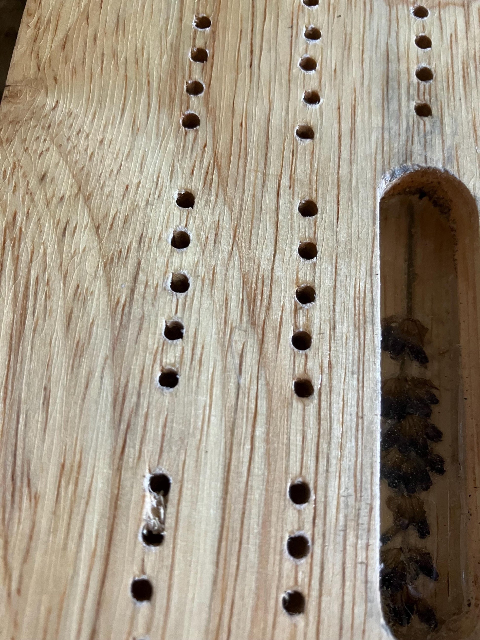 Folding botanical Cribbage board, with real Fern leaves and lavender and blossom flowers shabby chic cottagecore goblincore unique nature